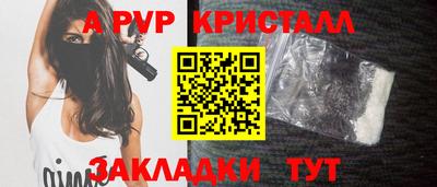 стафф Хасавюрт